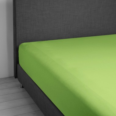 Vivacolor Verde Salvia