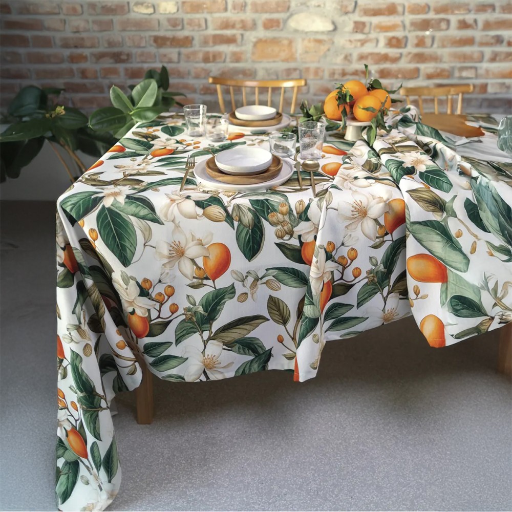 Giuggiola servizio 155x270 radici Giuggiola servizio 155x270 radici