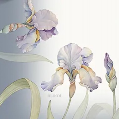 Lily servizio 150x270 digital lab