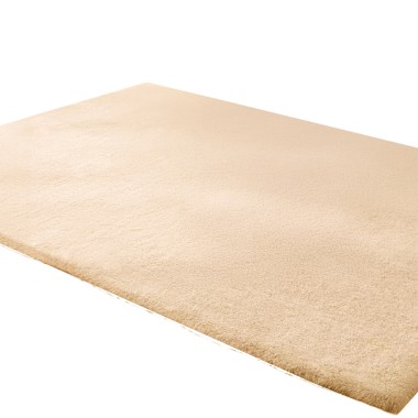 Eva Tappeta in Eco...