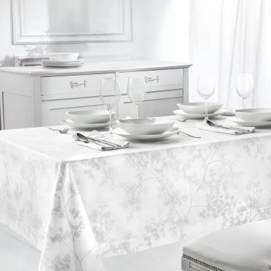 Venere servizio x6 160x180