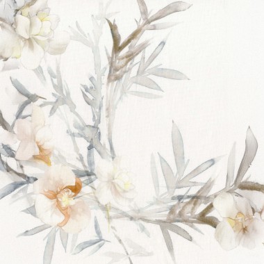 Orchidea Tovaglia 170x270...