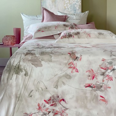 Ciclamino completo 4...