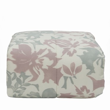 Carlotta Trapunta...