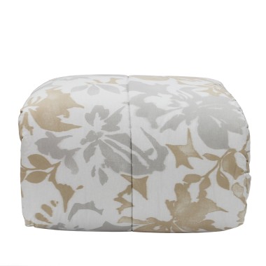 Carlotta Trapunta...