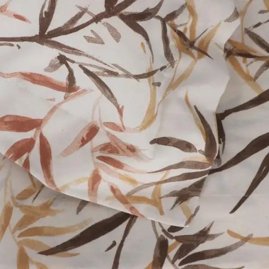 Zenzero completo letto...