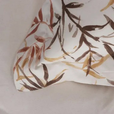 Zenzero completo letto...