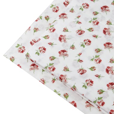 Queen completo pelle ovo...