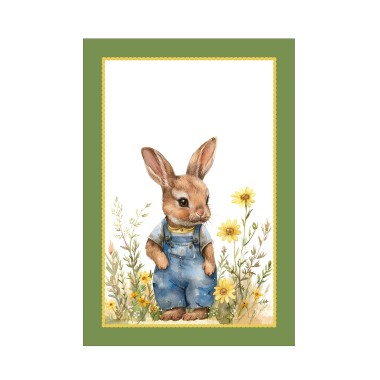 Coniglio, Strofinaccio...