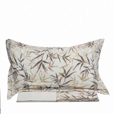 Zenzero, Completo Letto...