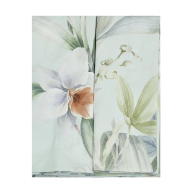 Calathea completo letto 2...