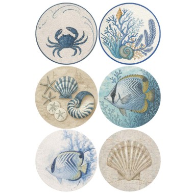Sains – Set 6 Centrotavola...