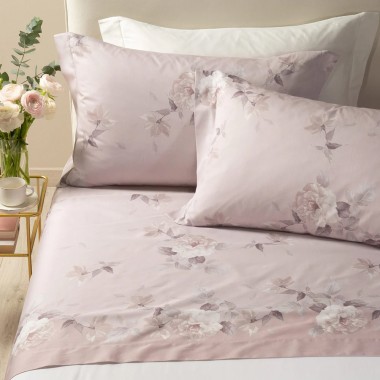 Rosa alba completo letto...